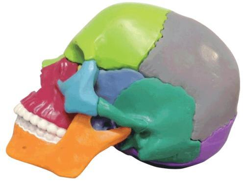 MINI SKULL